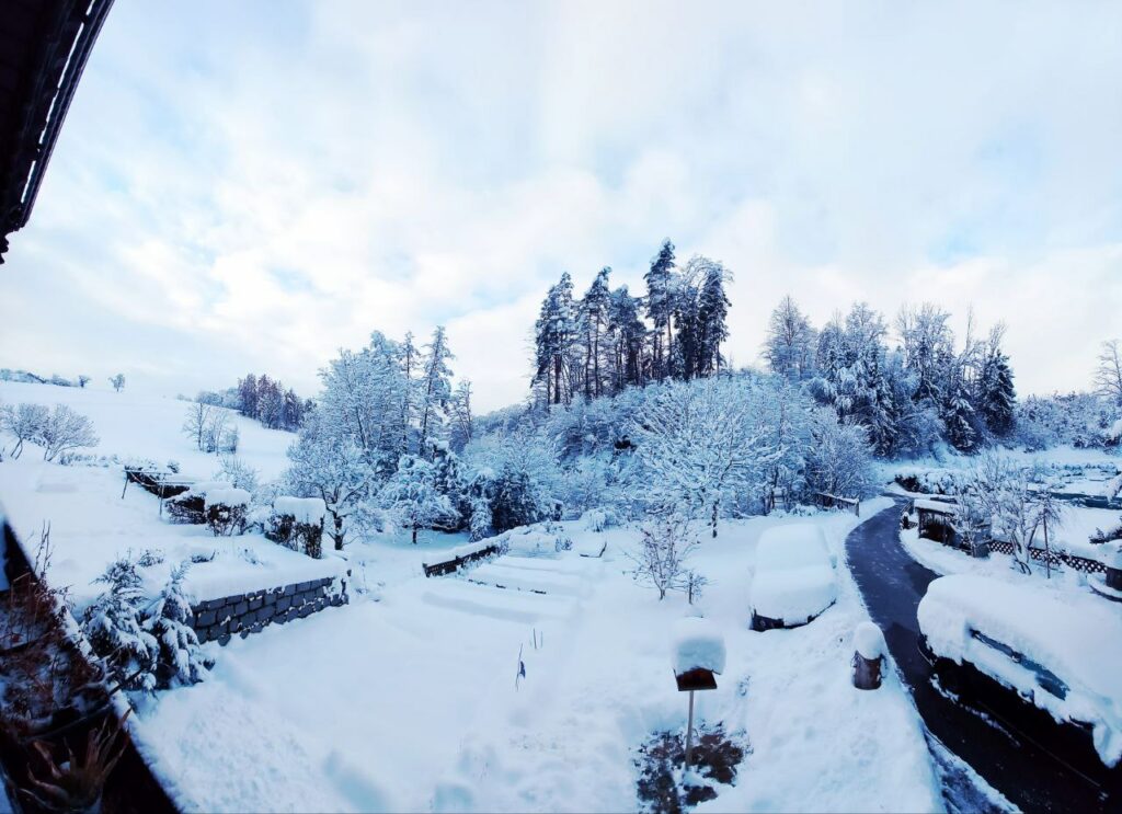 Winterpause ⛷ ☃ ❄